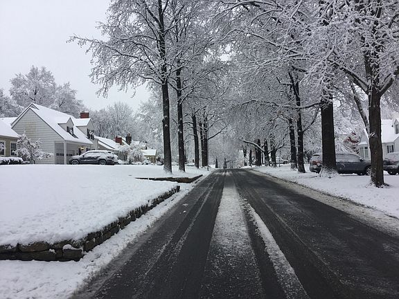 Friendly, tree-lined street