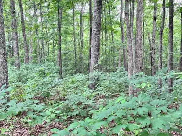 844 Parkstown Ext, Wilder, TN 38589