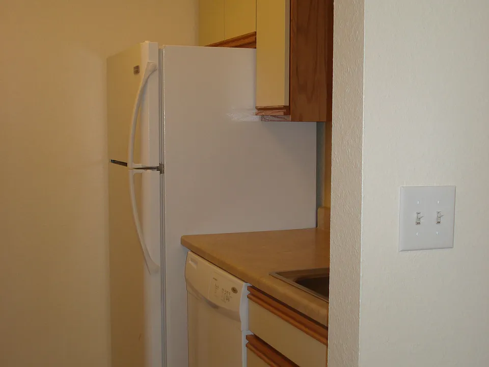 Kitchen_New Refrig.