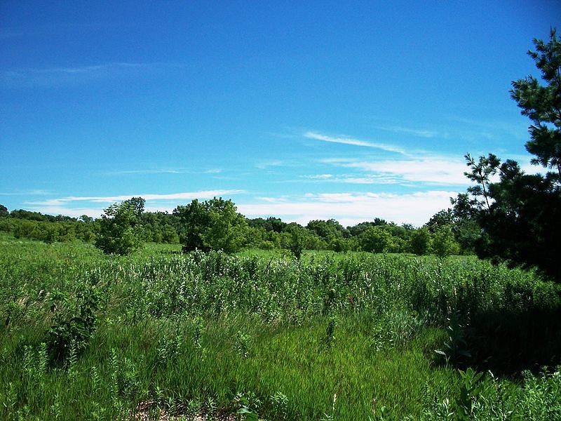 1st image of 1126TH Street Lot 10