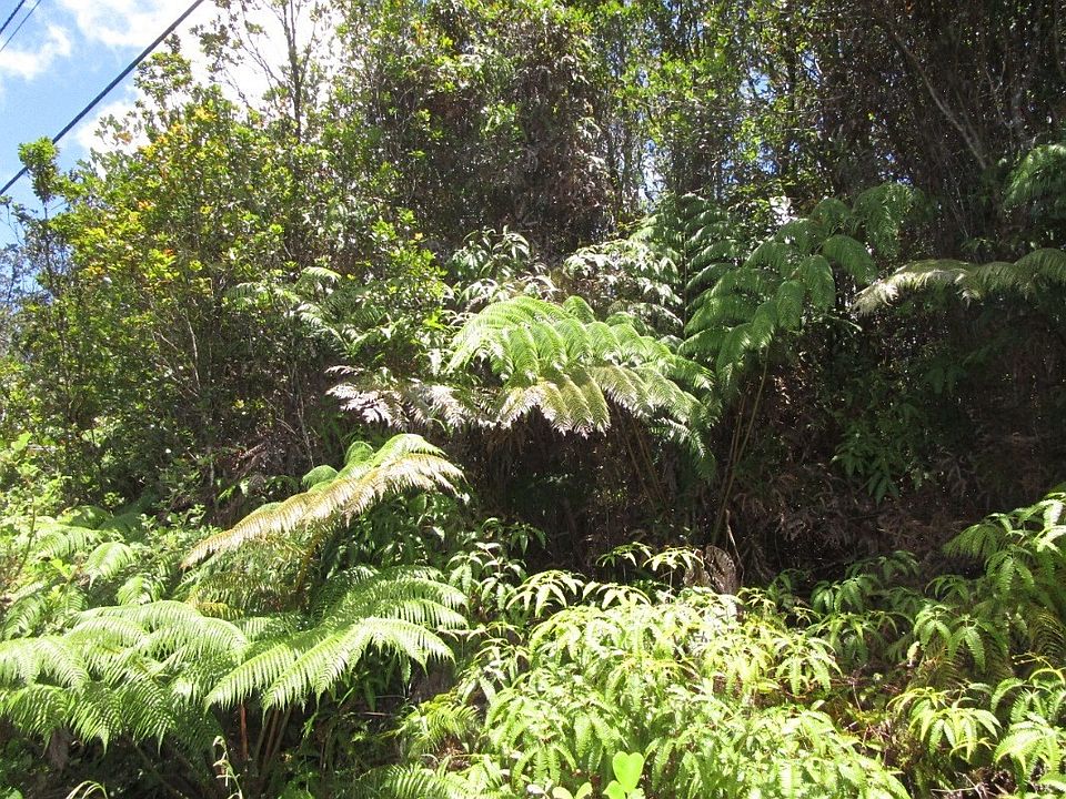 2nd image of Kaleponi Rd Lot 17