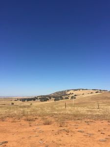 (Undisclosed Address), Shingle Springs, CA, 95682