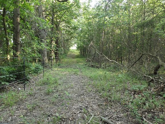 4th image of 34524 Sweet Pea Ln