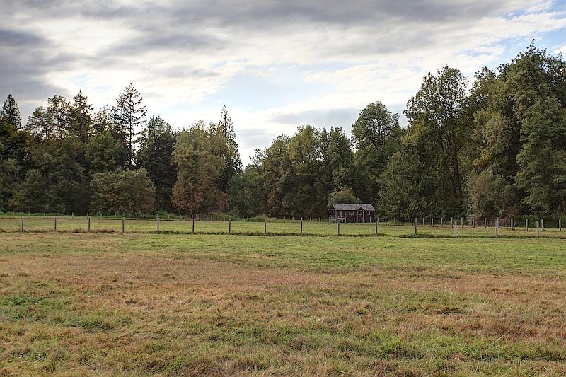 Pasture
