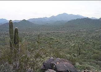 Estrella Mountain Park