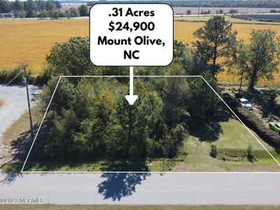 369 Daughtery Field Road, Mount Olive, NC, 28365