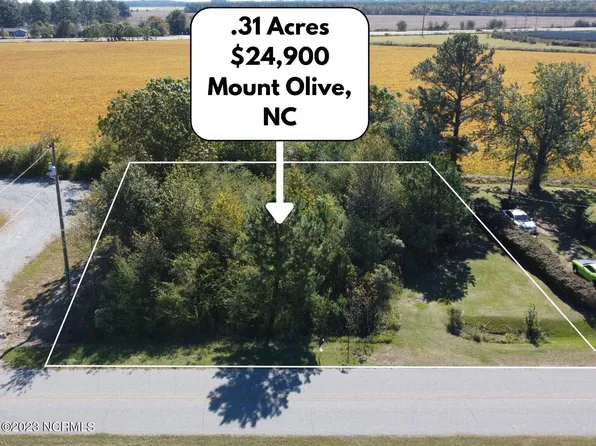 369 Daughtery Field Road, Mount Olive, NC 28365