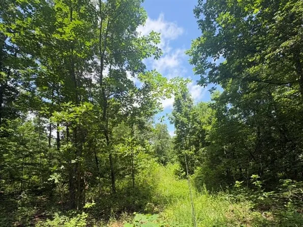 0 H Hwy, Ellington, MO 63638