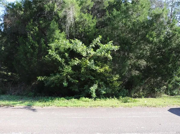 4653 S Sawmill Way, Homosassa, FL 34448