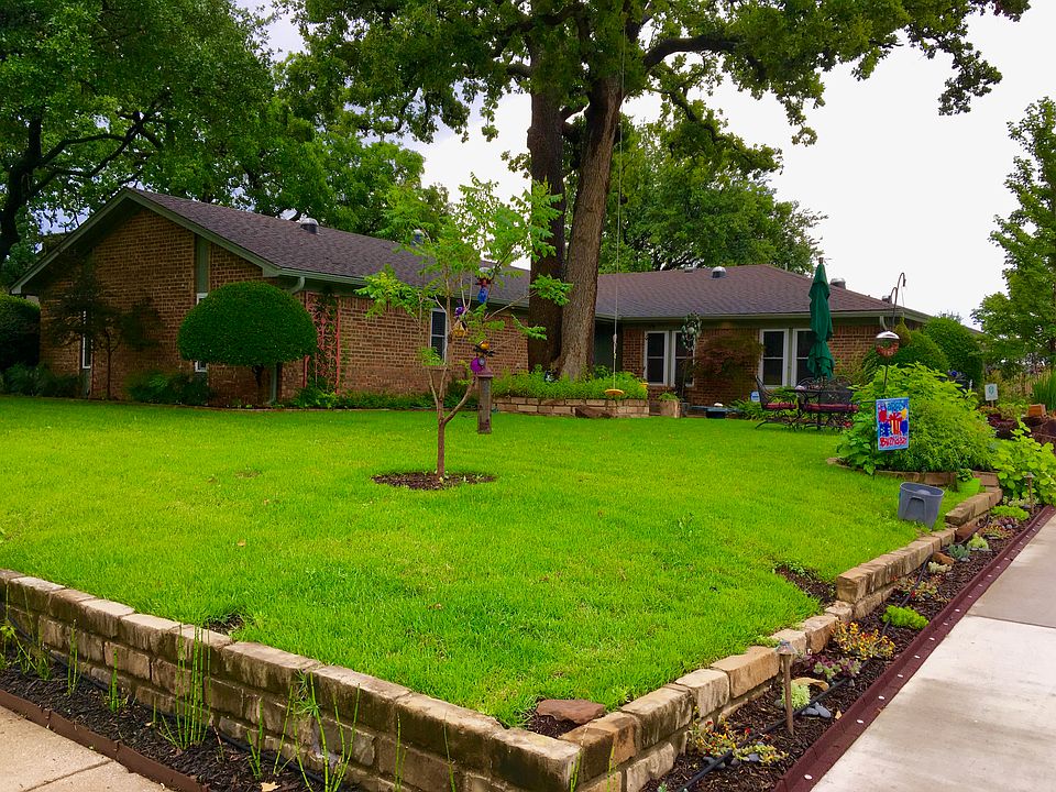 Zoysia Grass Front & Back