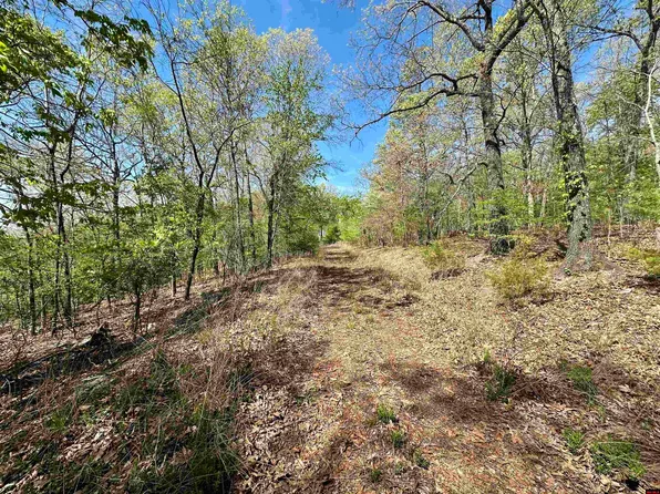 002-1066-000 Homestead Ln, Cotter, AR 72626