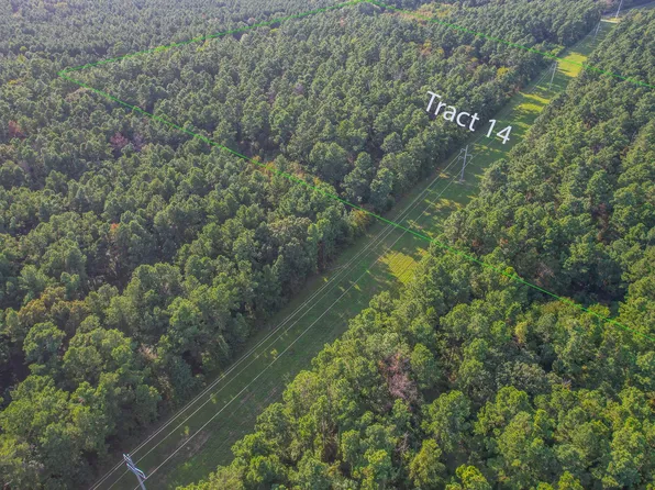 TRACT 14 County Road 4224, Frankston, TX 75763