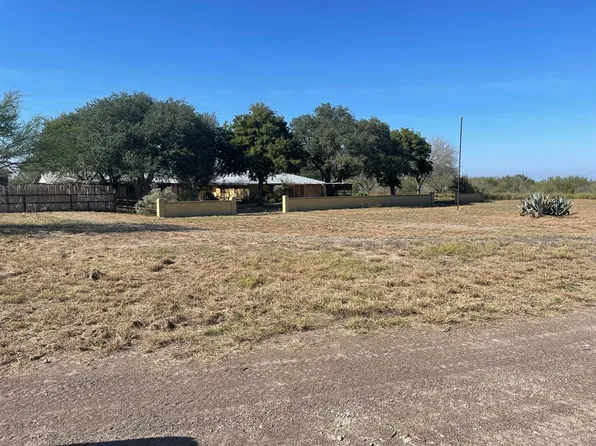 White Ave, Freer, TX 78357