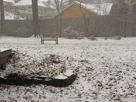 LR winter view