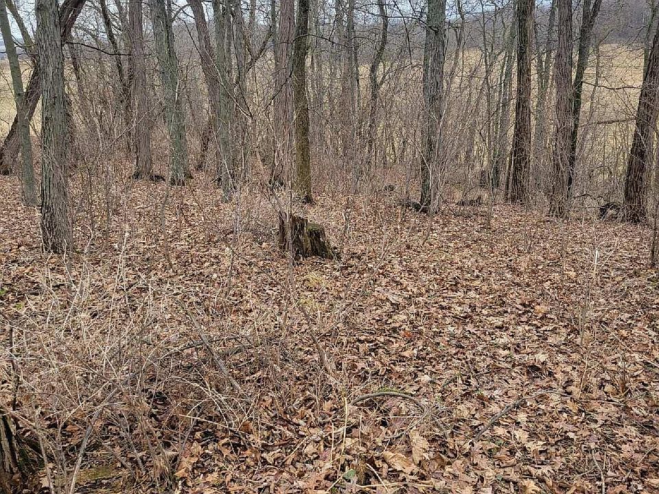 2nd image of LOT 3 Tower Line Rd