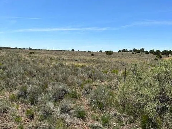 Xx Blue Hills Trl #139, Pie Town, NM 87827