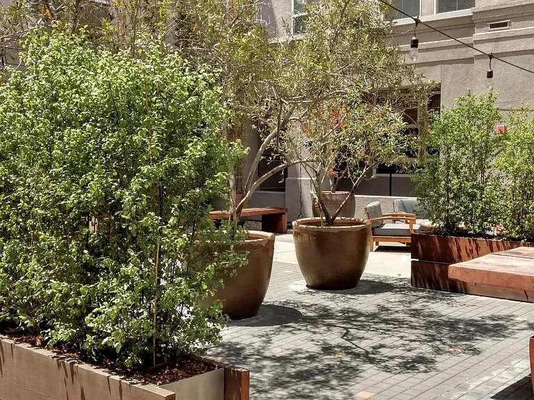 821 Folsom St — Photo 5