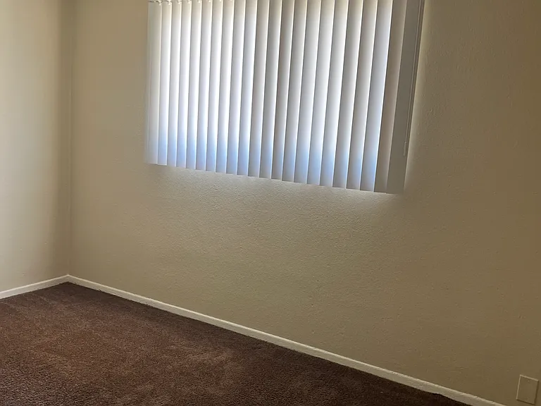 505 Palm Dr — Photo 12
