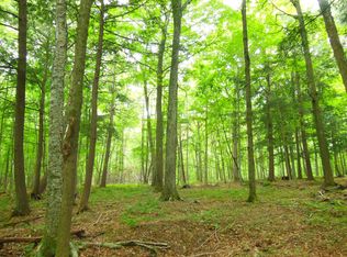 200806 North Rd LOT WP001, Auburndale, WI 54412