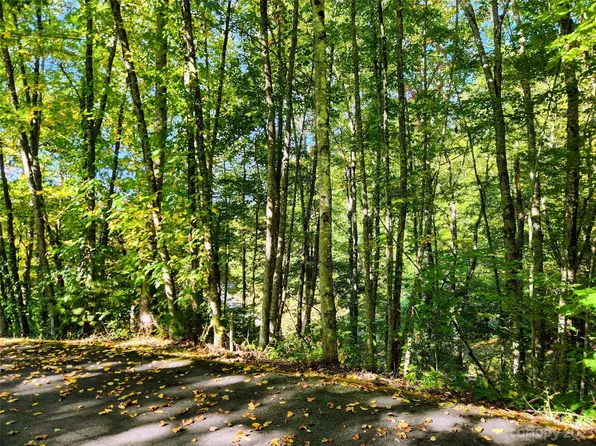 0 Loblolly Way #C7, Maggie Valley, NC 28751