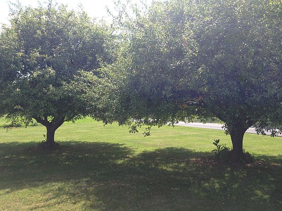 Beautiful Front Yard