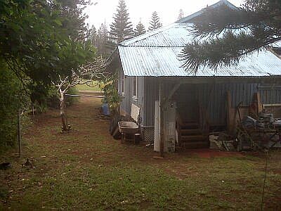 Back Yard !