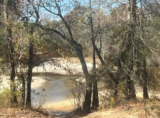 Jarriels Bridge Spur, Collins, GA 30421