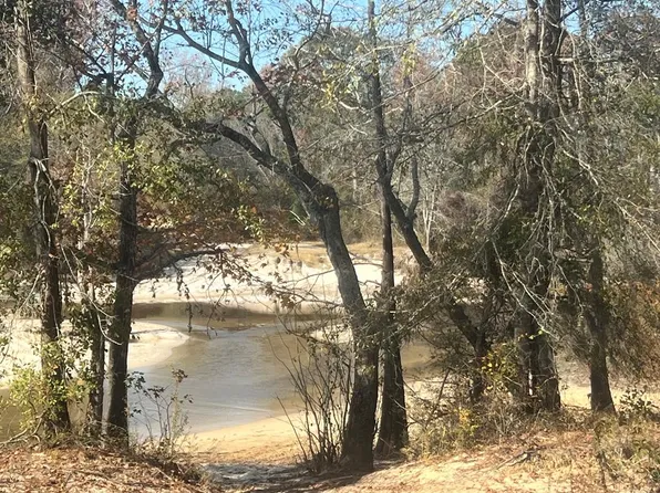Jarriels Bridge Spur, Collins, GA 30421