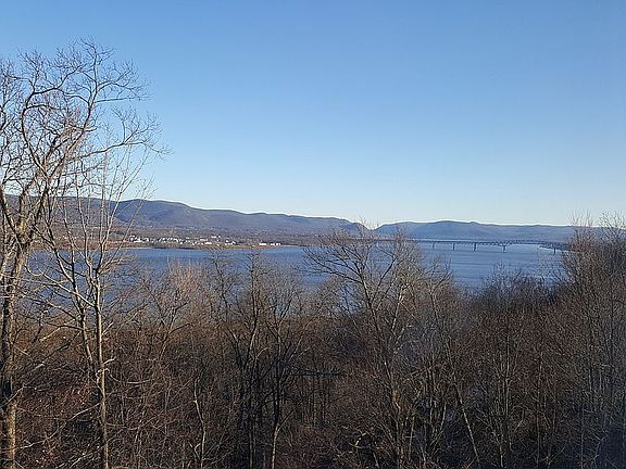 Back Patio View, Bridge