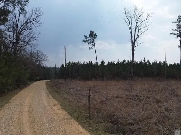 TRACT 1A Teal McDaniel Rd, Greensburg, LA 70441