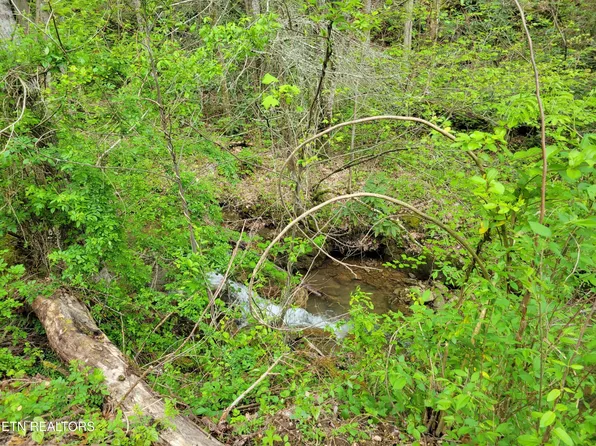 45 Alpine Dr, Sevierville, TN 37876