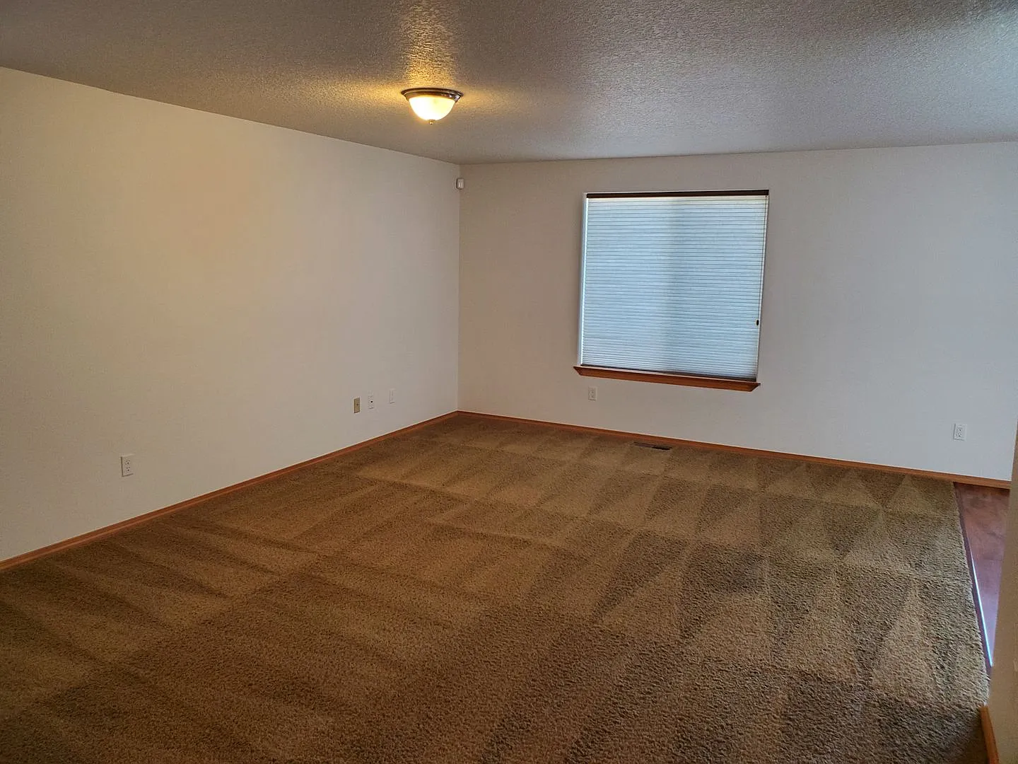 3-Bedroom House in Newberg — Photo 3