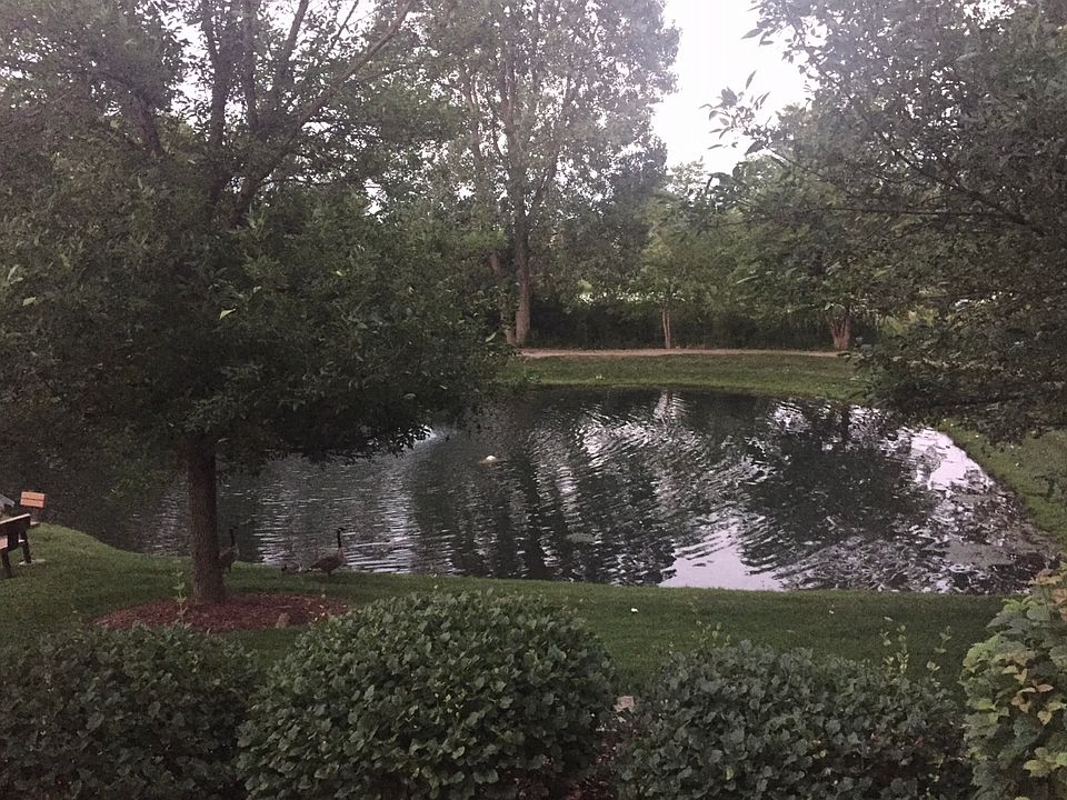 View out front door