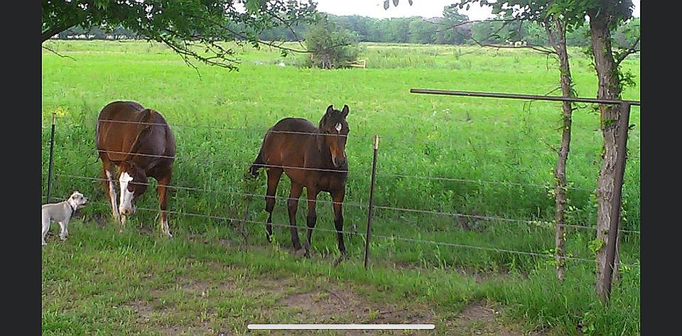 1st image of 3389 County Road 4200