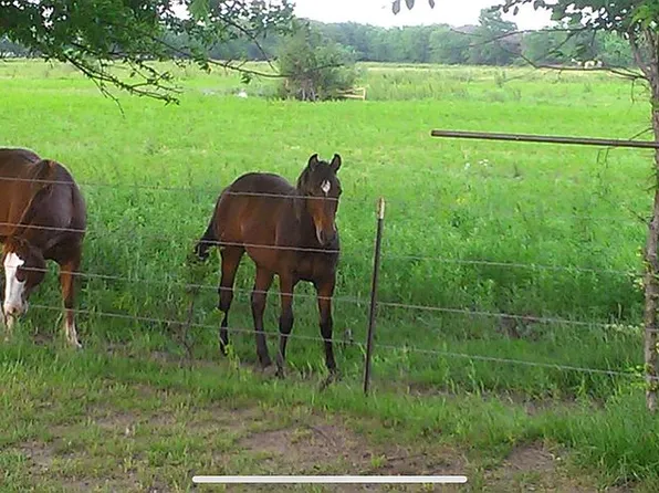 3389 County Road 4200, Independence, KS 67301