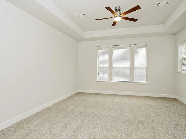 Master Bedroom with Tray Ceiling