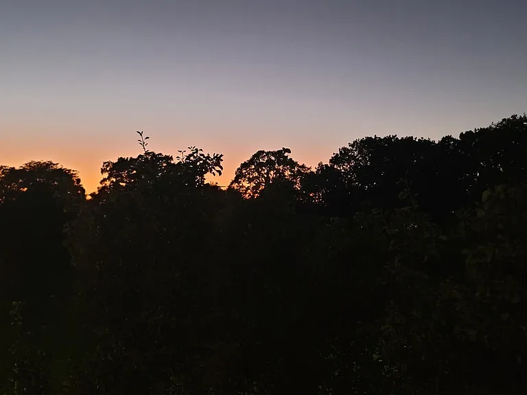 Park view from property