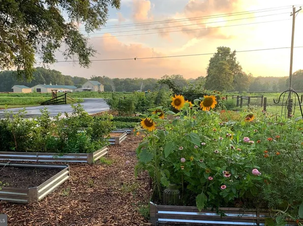 844 Big Ditch Rd, Camden Wyoming, DE 19934