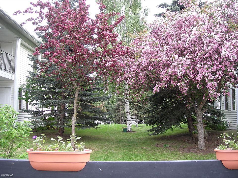 Center front yard
