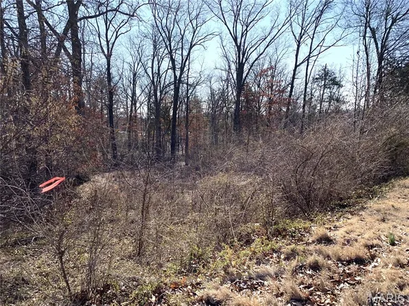 0 Heard Ct, Union, MO 63084