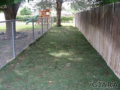 Dog Run