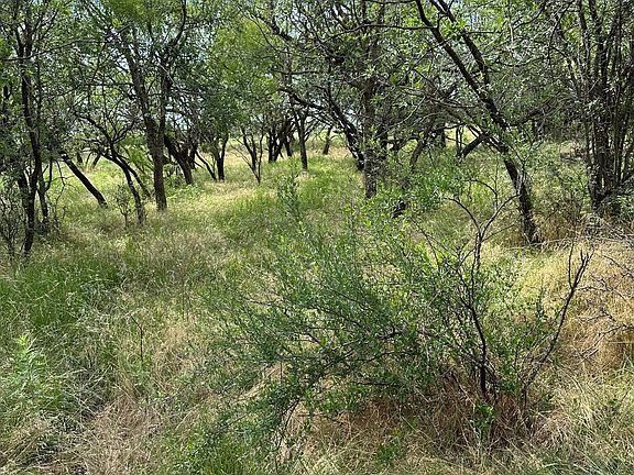 3rd image of TRACT 19 Ac Cres #150