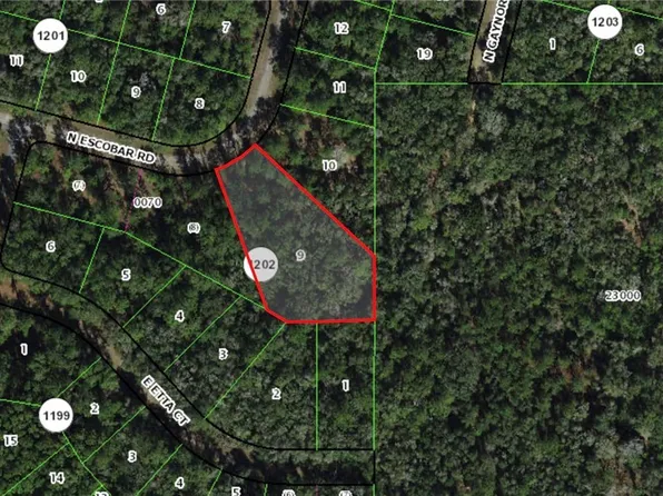 8267 N Escobar Rd, Citrus Springs, FL 34434