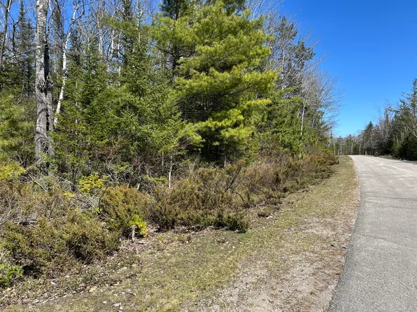 Lots 80&81 Laurelhill Cir, Presque Isle, MI 49777