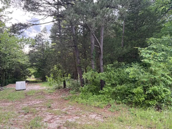 23029 Old Highway 65, Omaha, AR 72662