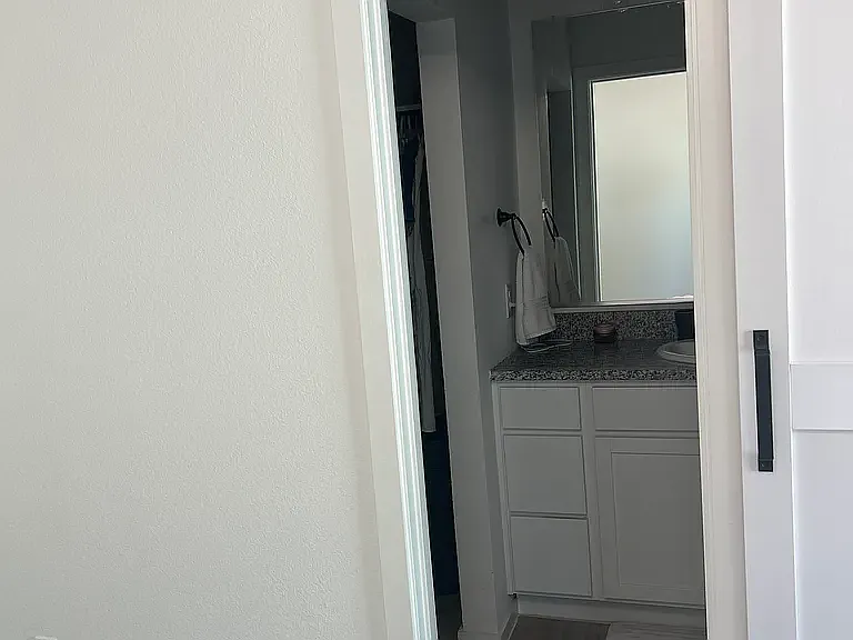 910 Wood Stork Way — Photo 10