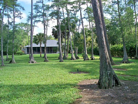 house from back yard
