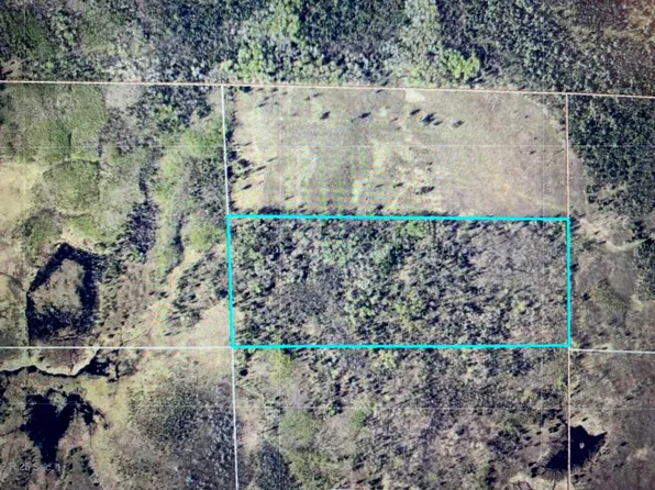 Tbd County Road 525, Effie, MN 56639
