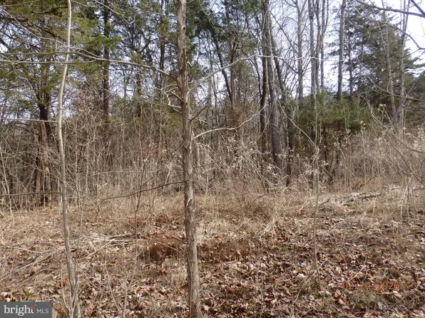 6 Stonewall Rd #1, Woodstock, VA 22664