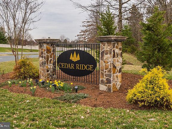 Welcome to Cedar Ridge!